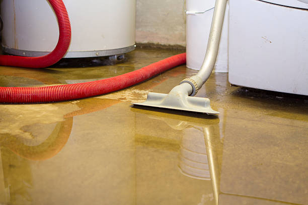 Best Water damage contractors near me  in Wilmington Island, GA