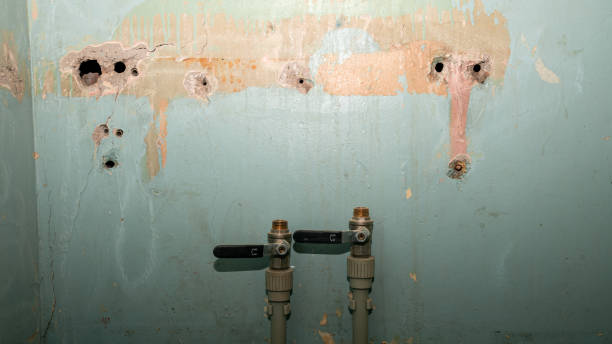Best Water damage restoration near me  in Wilmington Island, GA