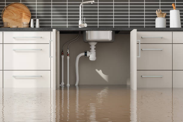 Best 24/7 water damage repair  in Wilmington Island, GA