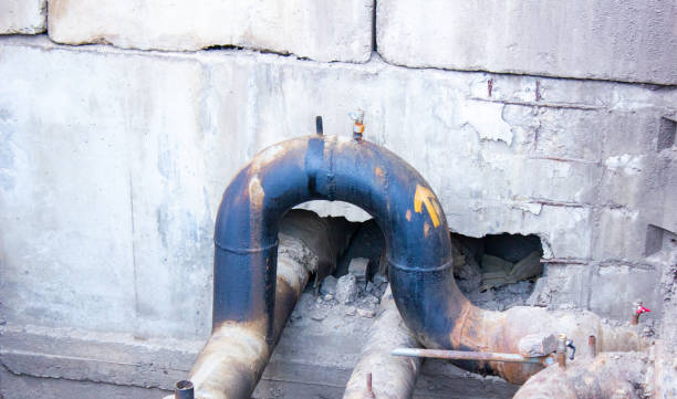 Best Flood damage cleanup  in Wilmington Island, GA
