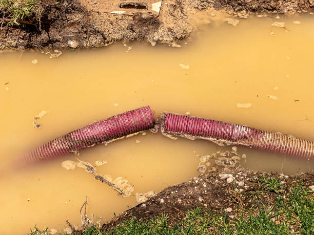Professional Water damage restoration in Wilmington Island, GA