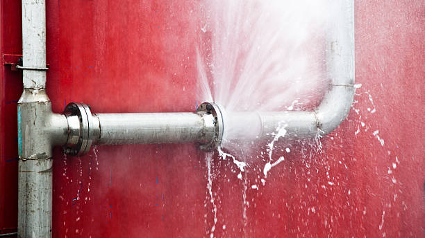 Carpet water damage restoration in Wilmington Island, GA