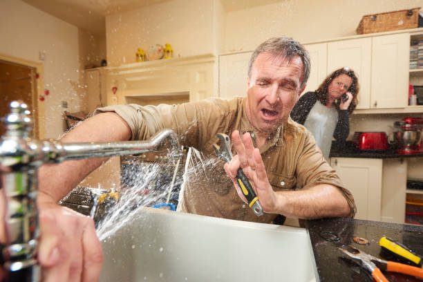 Best Carpet water damage restoration  in Wilmington Island, GA